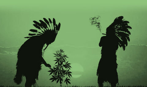 Cannabis Native Sovereignty